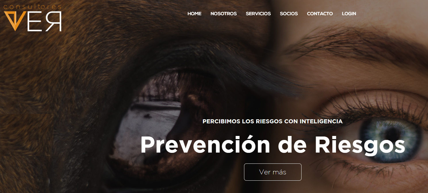 Dashboard del Sistema de control de evidencias para actividades